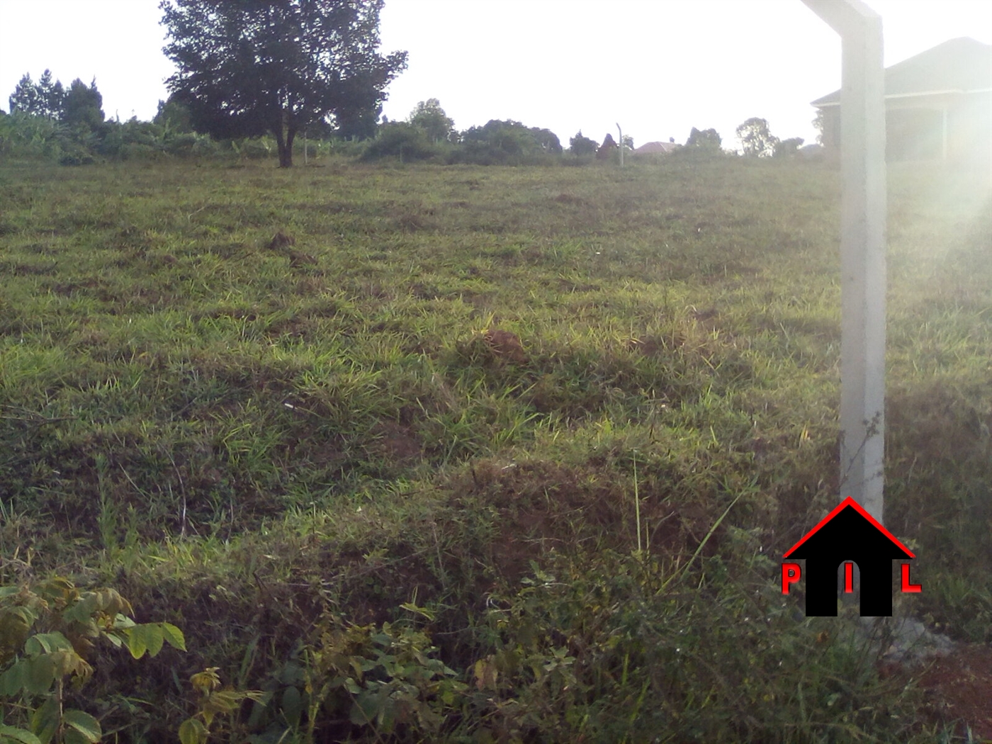 Agricultural Land for sale in Ogwil Pader