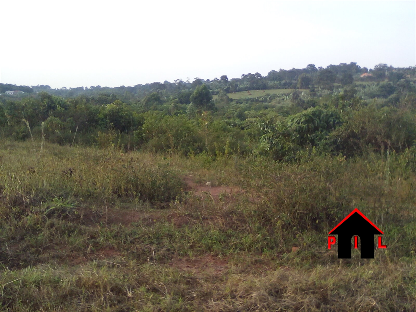 Agricultural Land for sale in Ogwil Pader