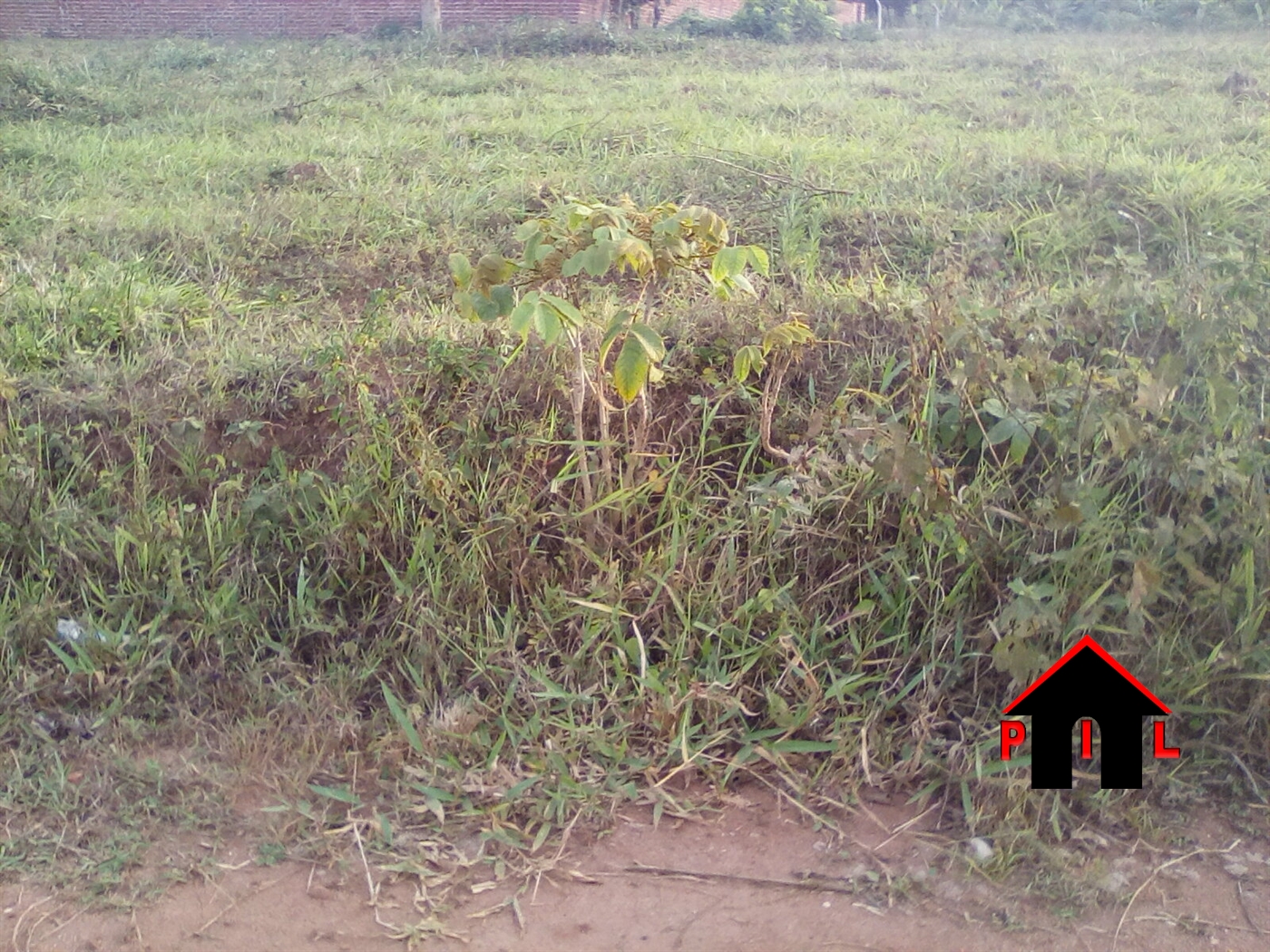 Agricultural Land for sale in Ogwil Pader