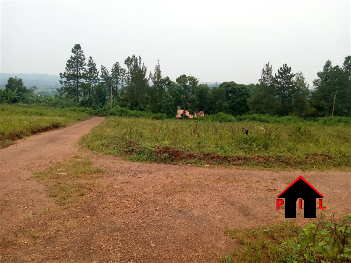 Agricultural Land for sale in Kapichwola Bulambuli
