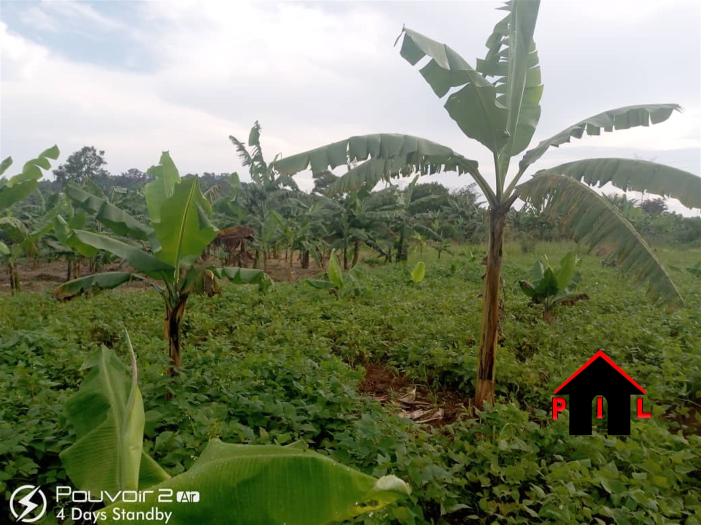 Agricultural Land for sale in Lalungu Wakiso