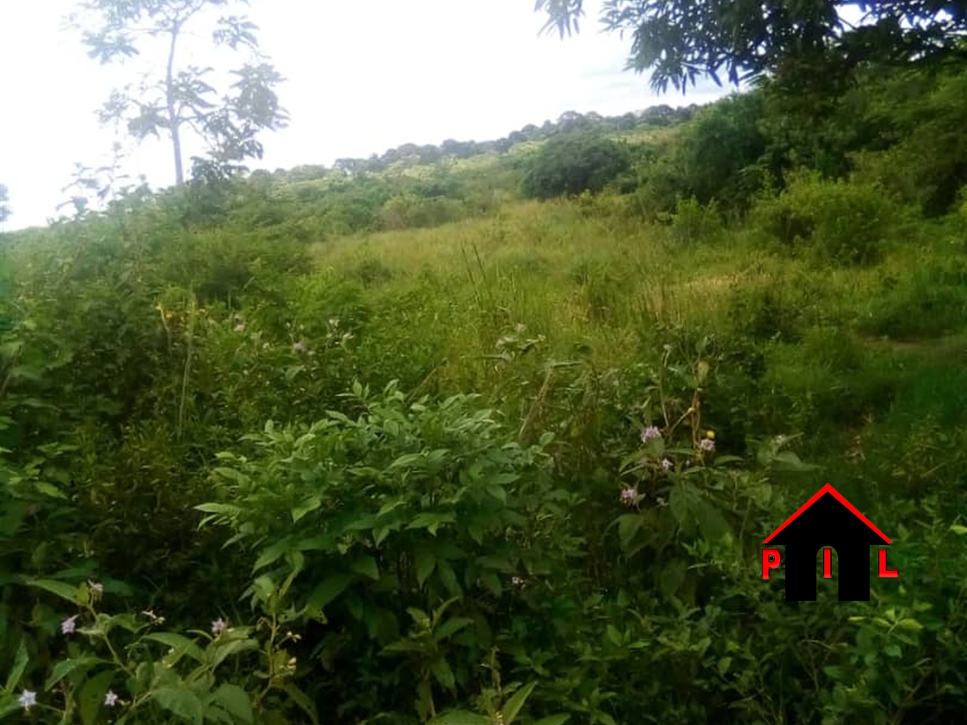 Agricultural Land for sale in Busunjju Wakiso