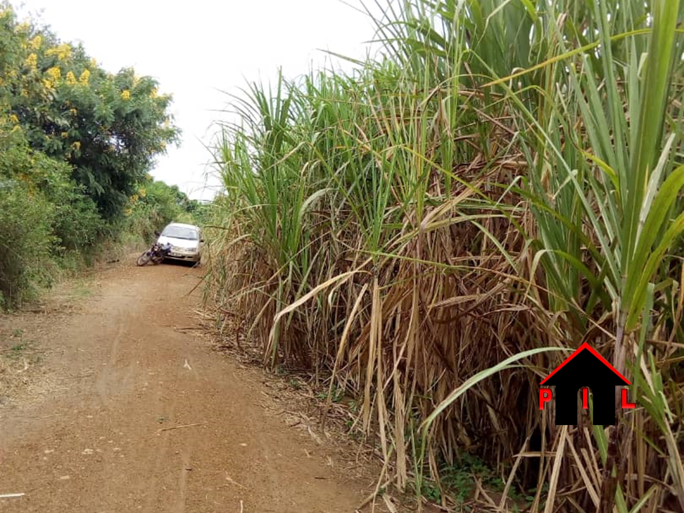 Residential Land for sale in Busiika Wakiso