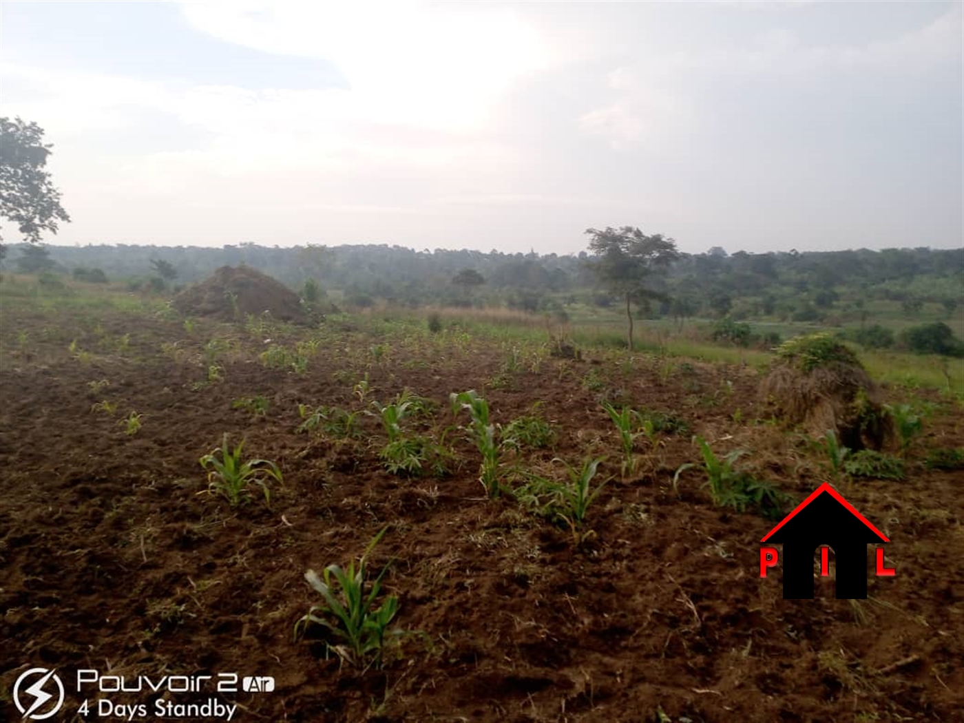 Agricultural Land for sale in Lwabenge Masaka