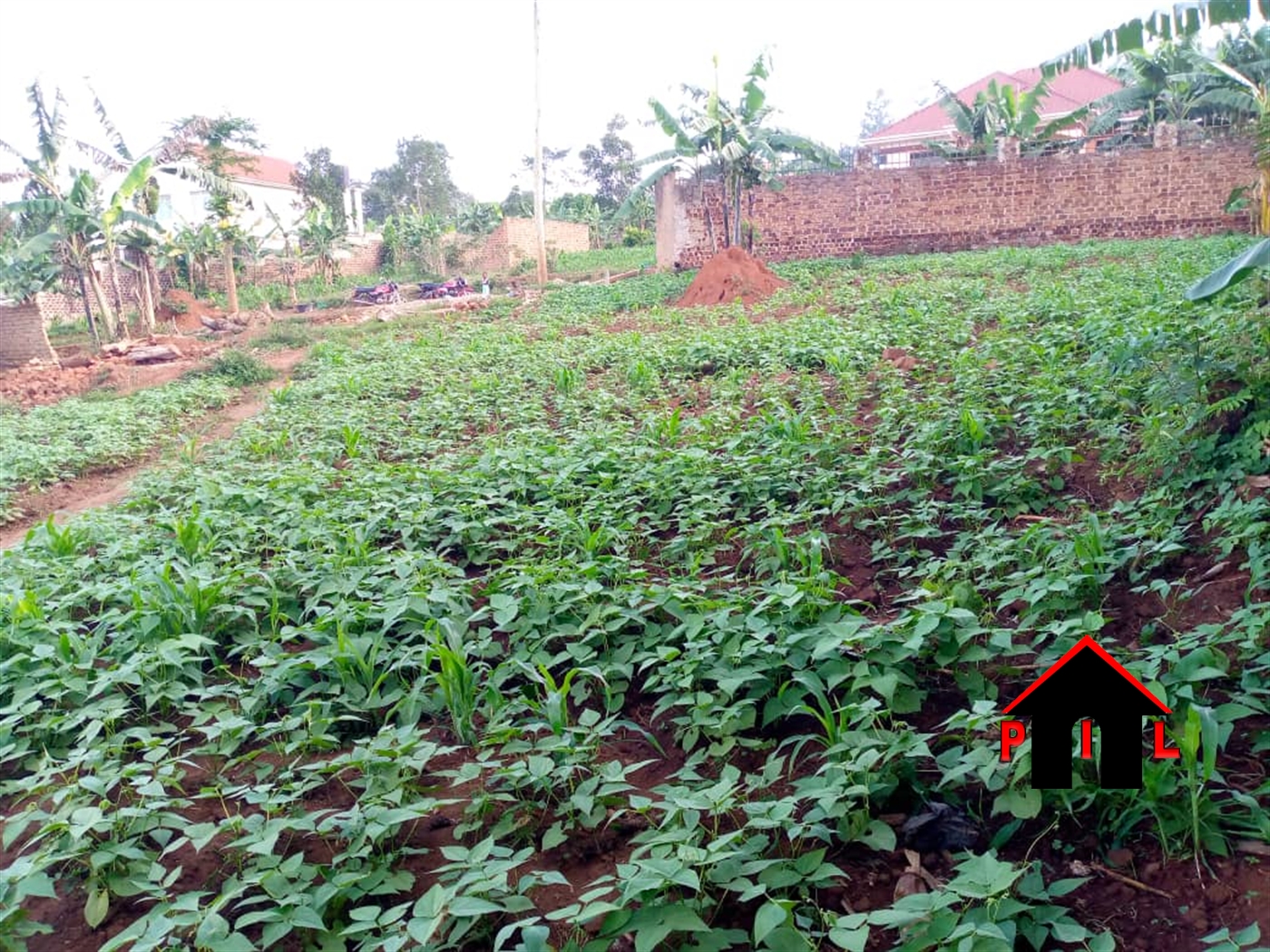 Residential Land for sale in Ntawo Mukono