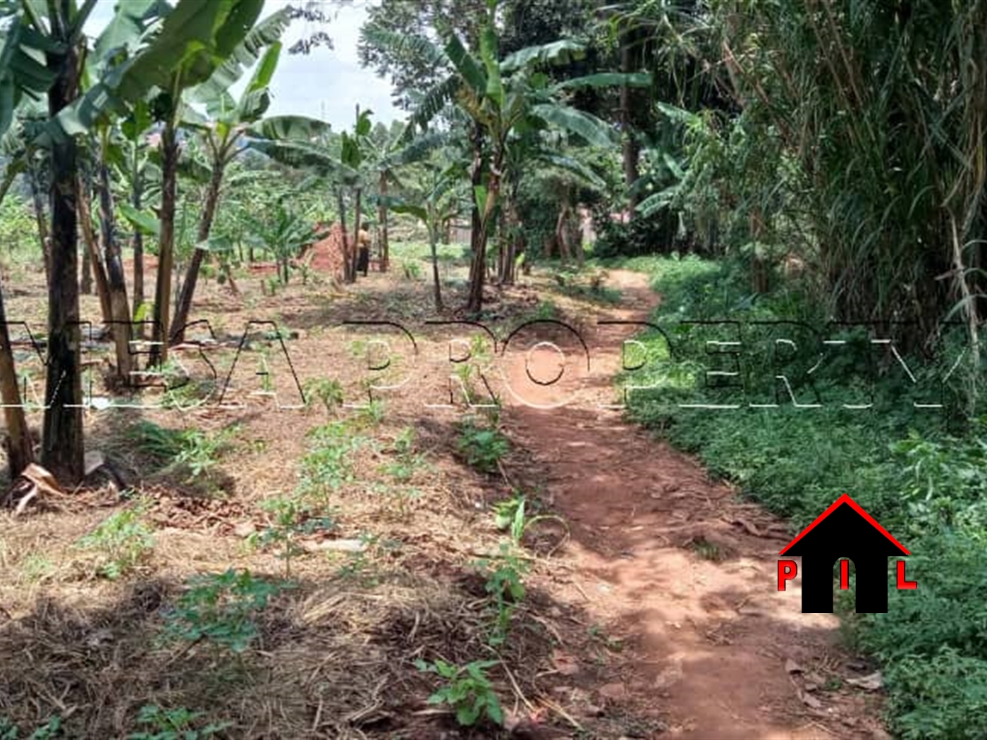 Agricultural Land for sale in Lukaya Kalungu