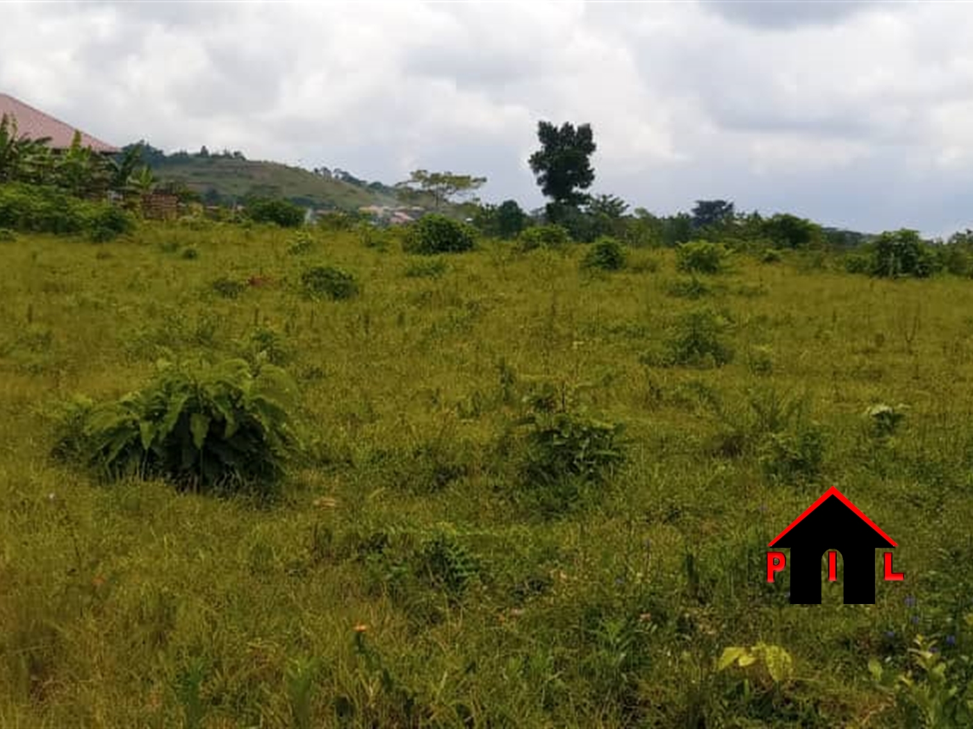 Agricultural Land for sale in Namabale Wakiso