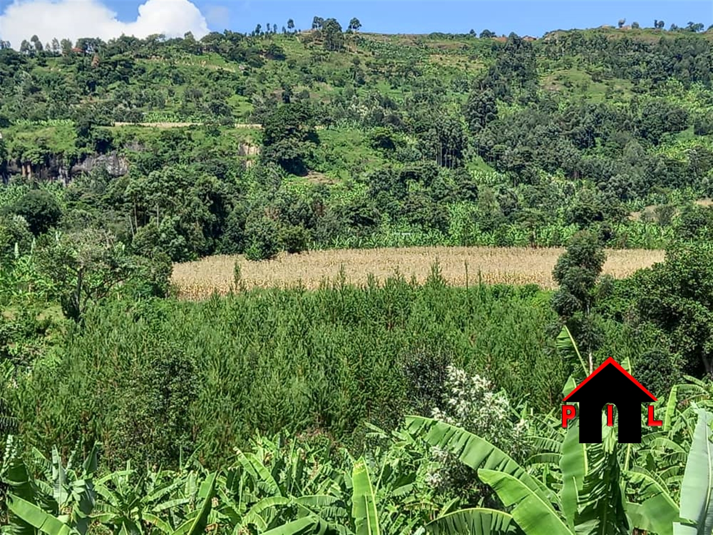 Agricultural Land for sale in Aroko Kapchorwa