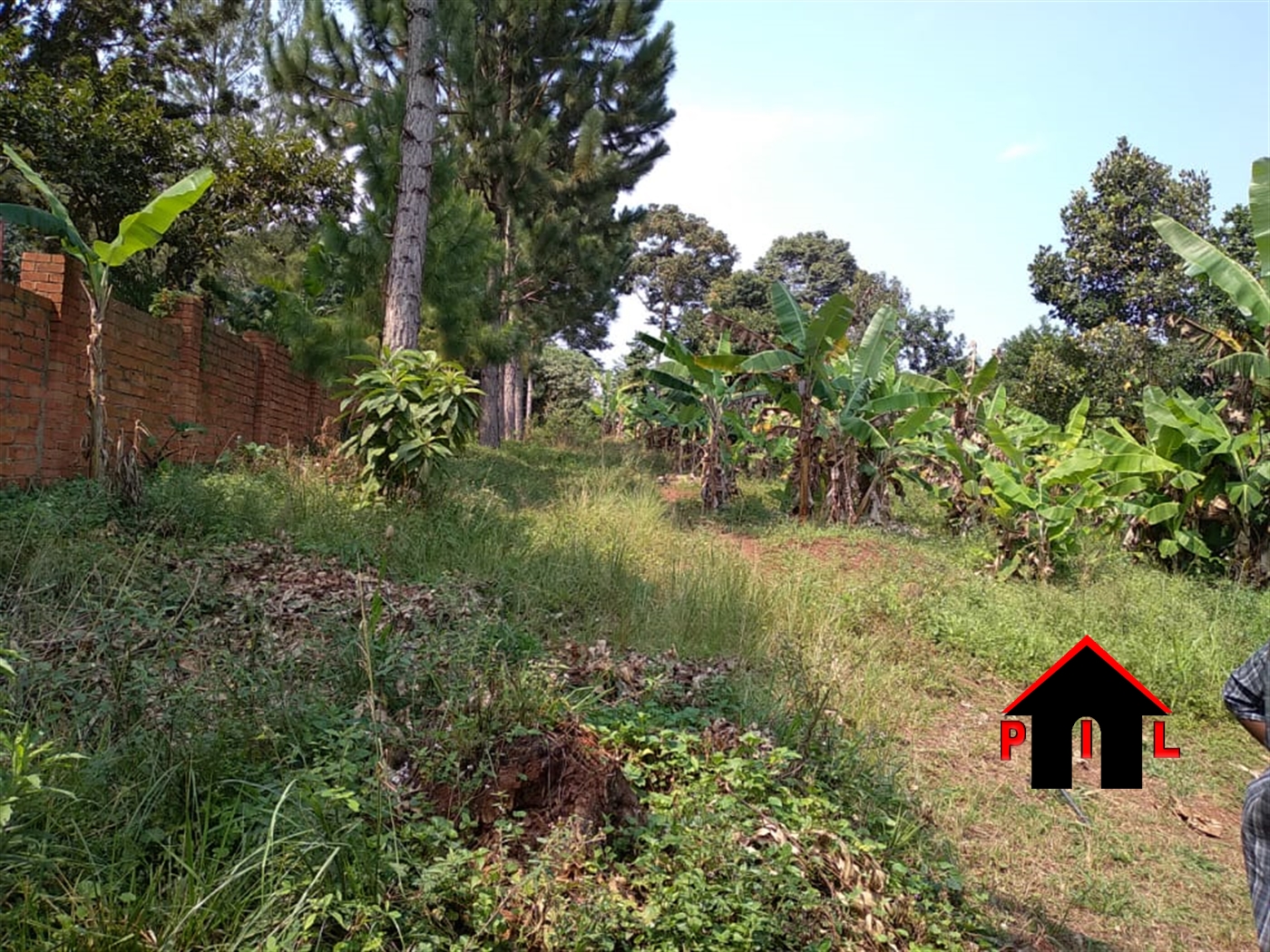 Agricultural Land for sale in Nkozi Masaka