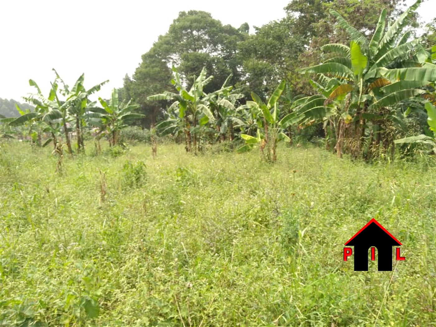 Agricultural Land for sale in Ngando Wakiso