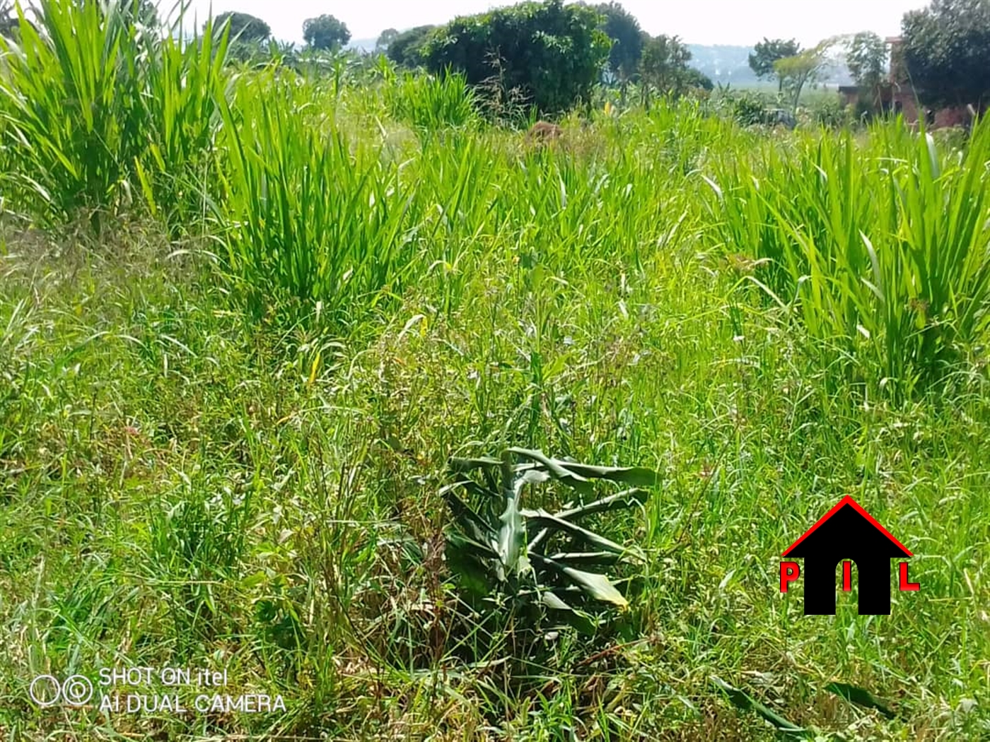 Agricultural Land for sale in Lukaaya Masaka