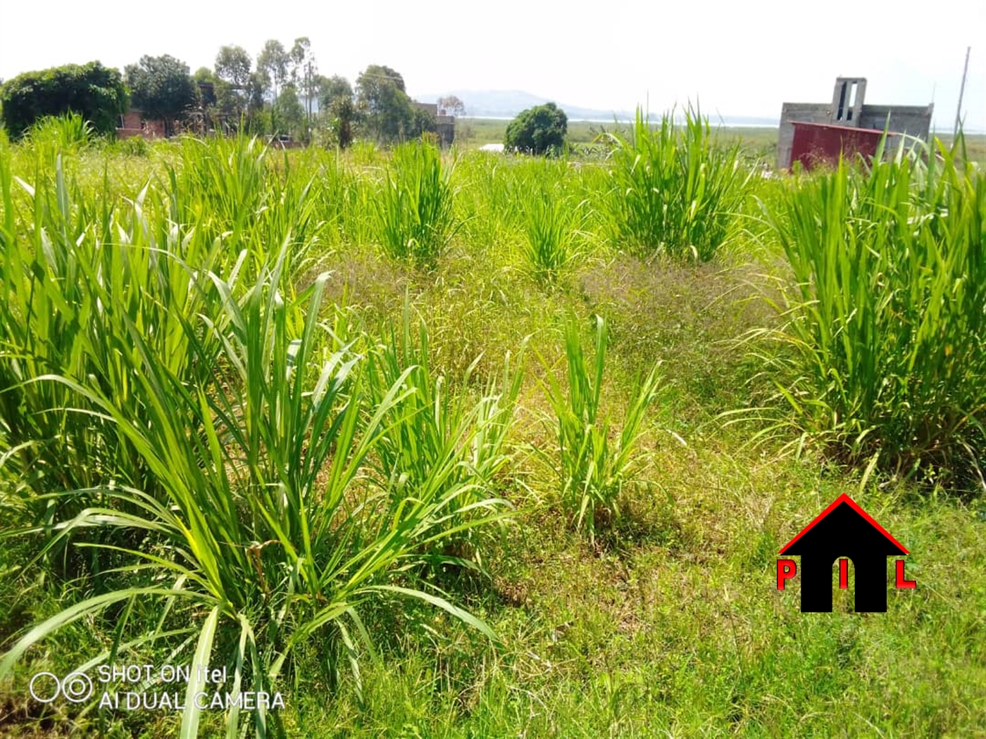 Agricultural Land for sale in Lukaaya Masaka