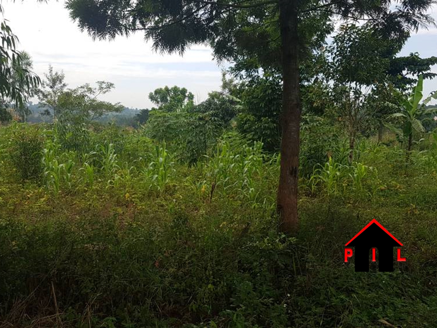 Agricultural Land for sale in Kyanamukaaka Masaka