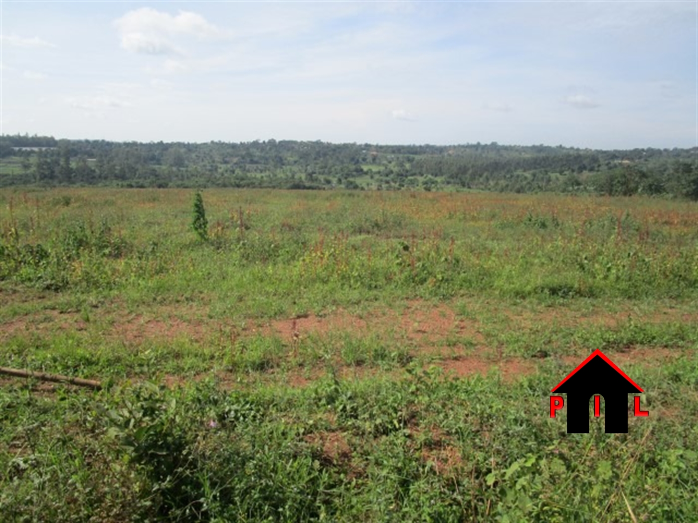 Agricultural Land for sale in Nangabo Masaka