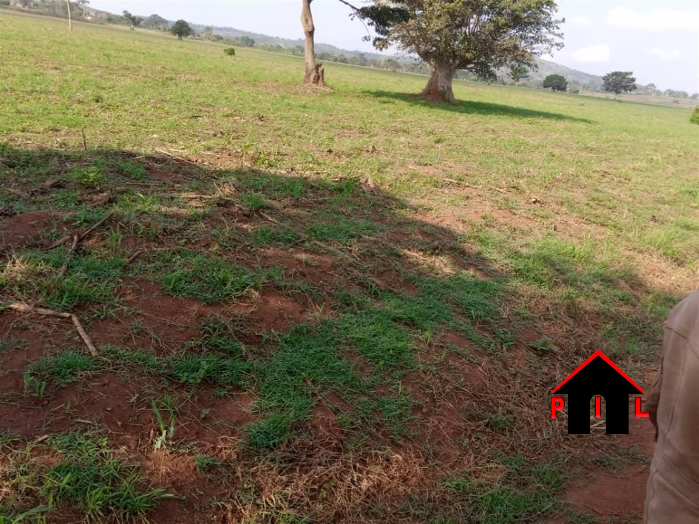 Agricultural Land for sale in Njeru Jinja