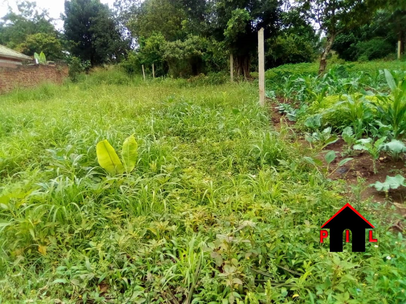 Agricultural Land for sale in Katosi Mukono