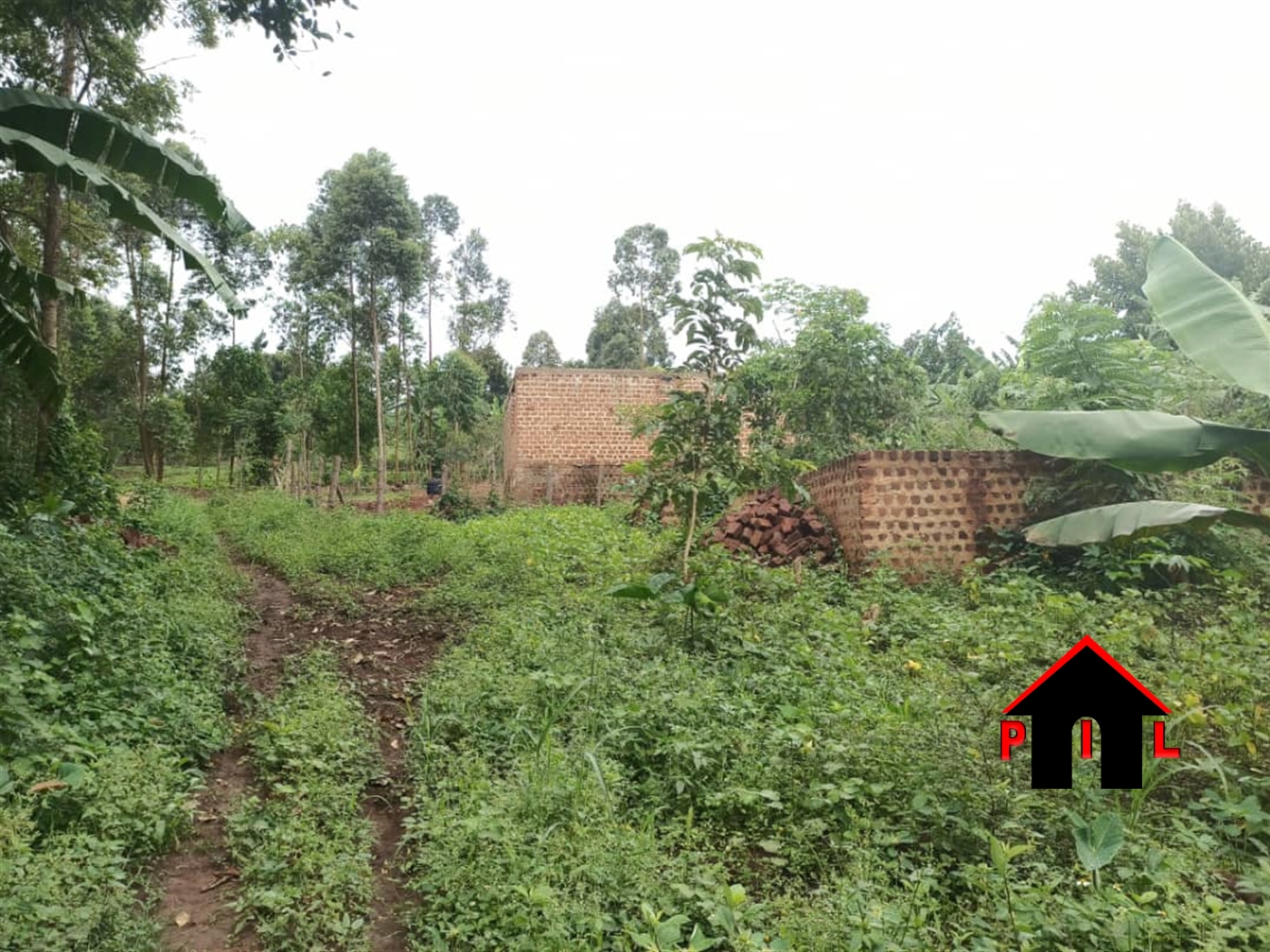 Agricultural Land for sale in Naggogye Mukono