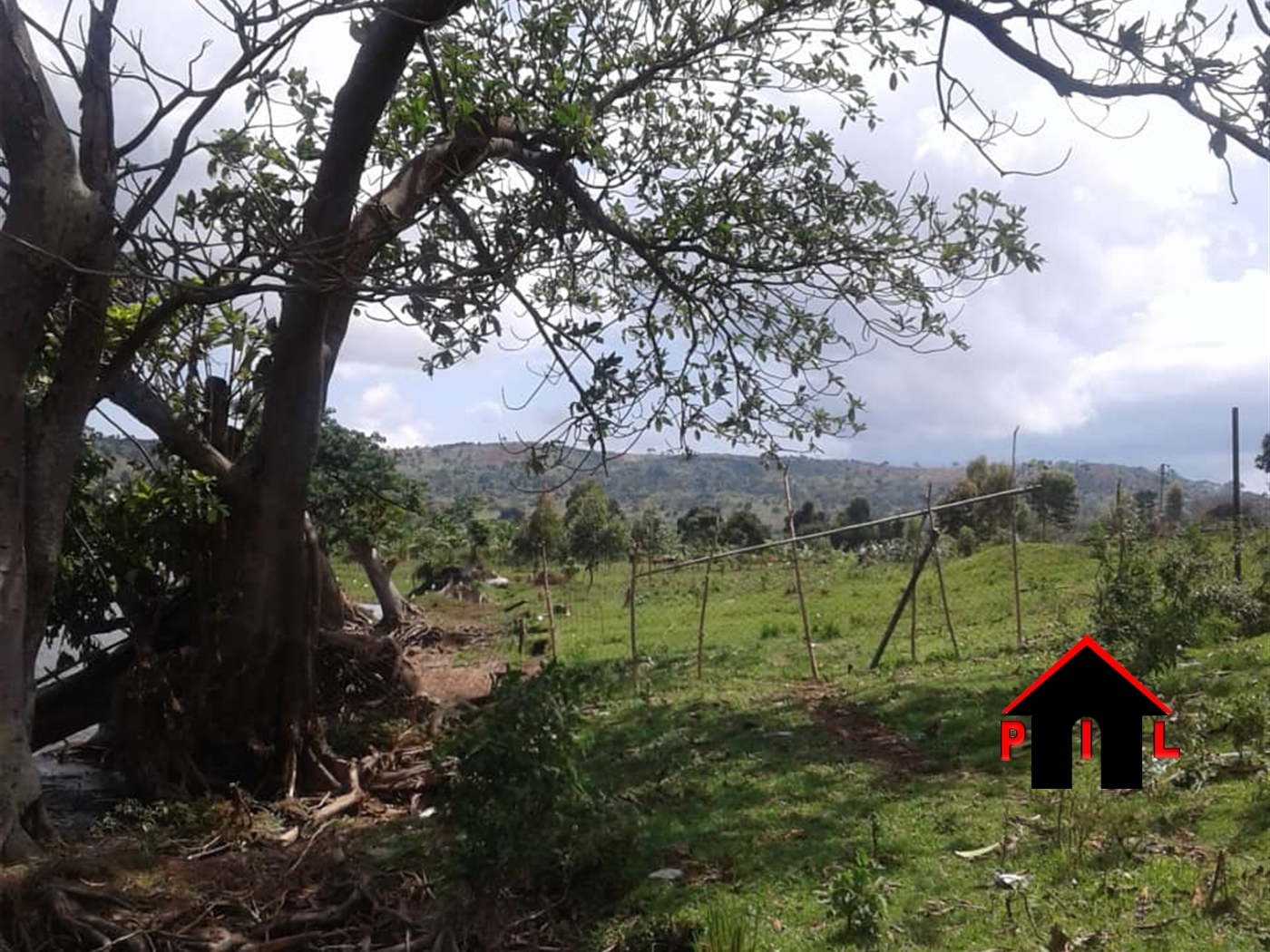 Agricultural Land for sale in Kazwama Nakasongola