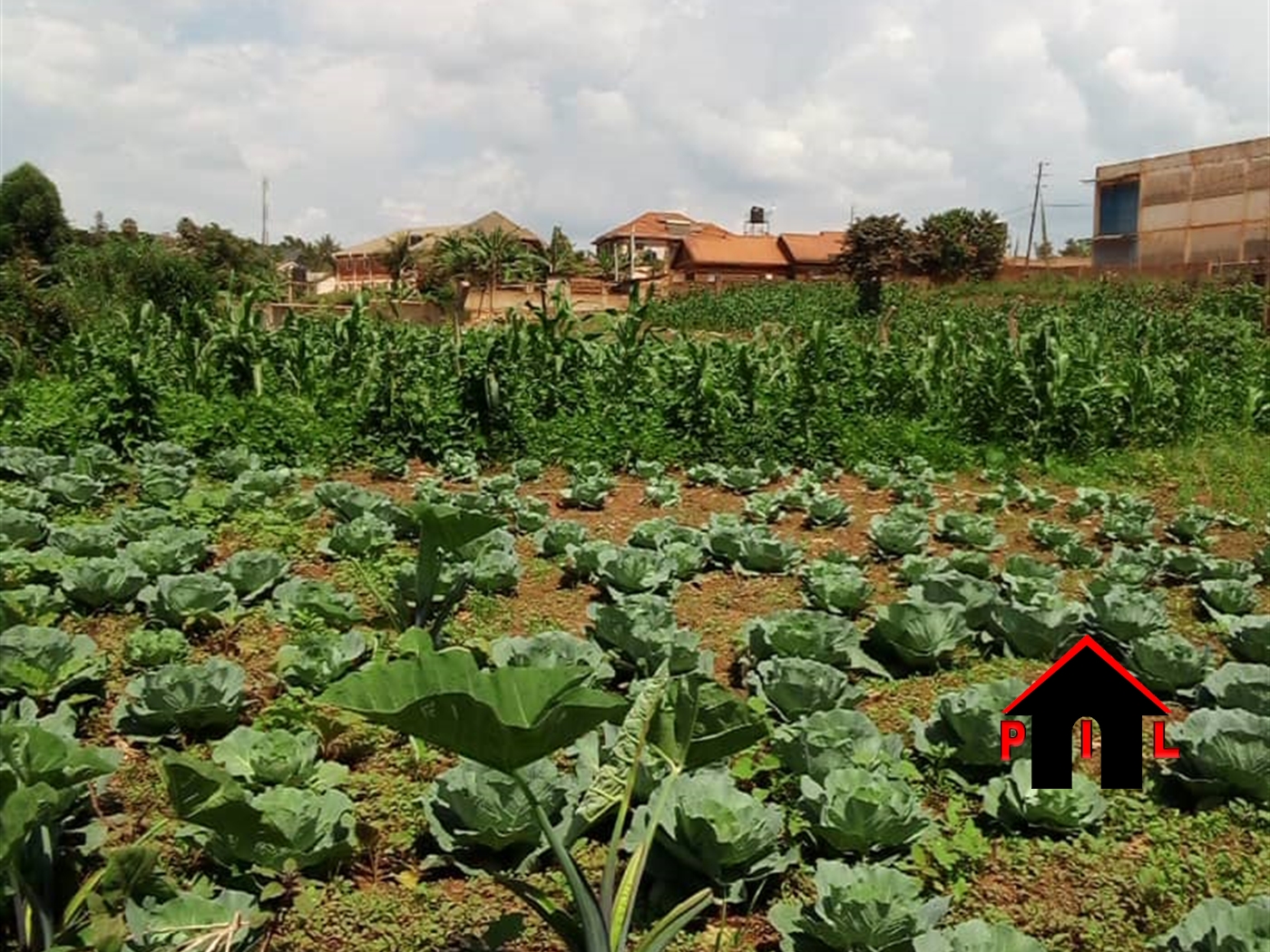 Agricultural Land for sale in Kazwama Nakasongola