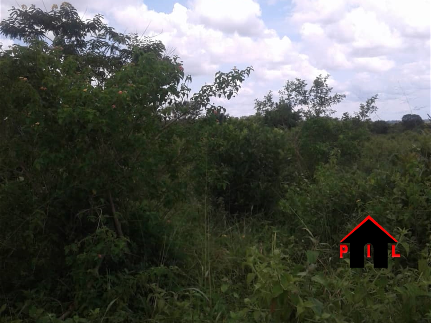 Agricultural Land for sale in Kikyuusa Luweero