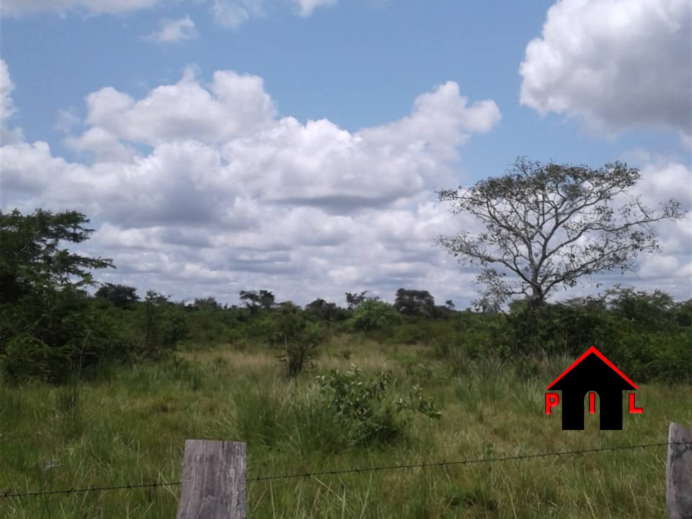 Agricultural Land for sale in Sango Masaka