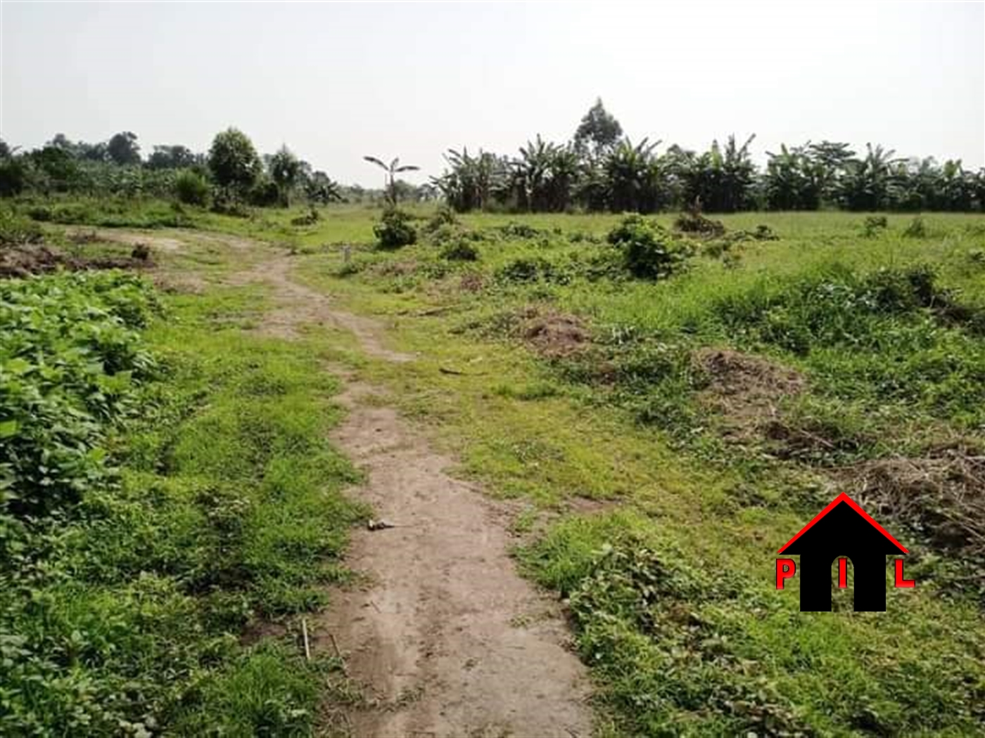 Agricultural Land for sale in Lalungu Luweero