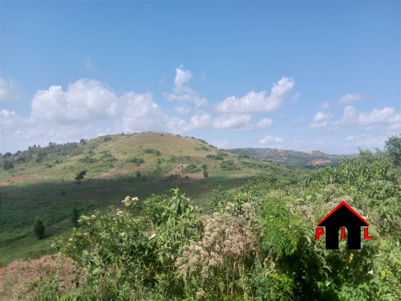 Agricultural Land for sale in Bukuya Mubende