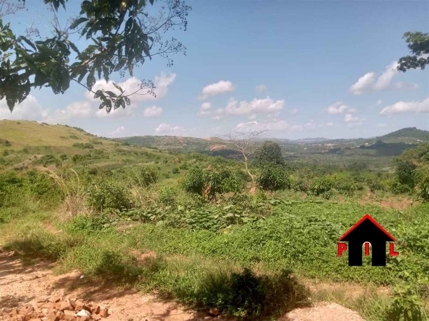 Agricultural Land for sale in Bukuya Mubende