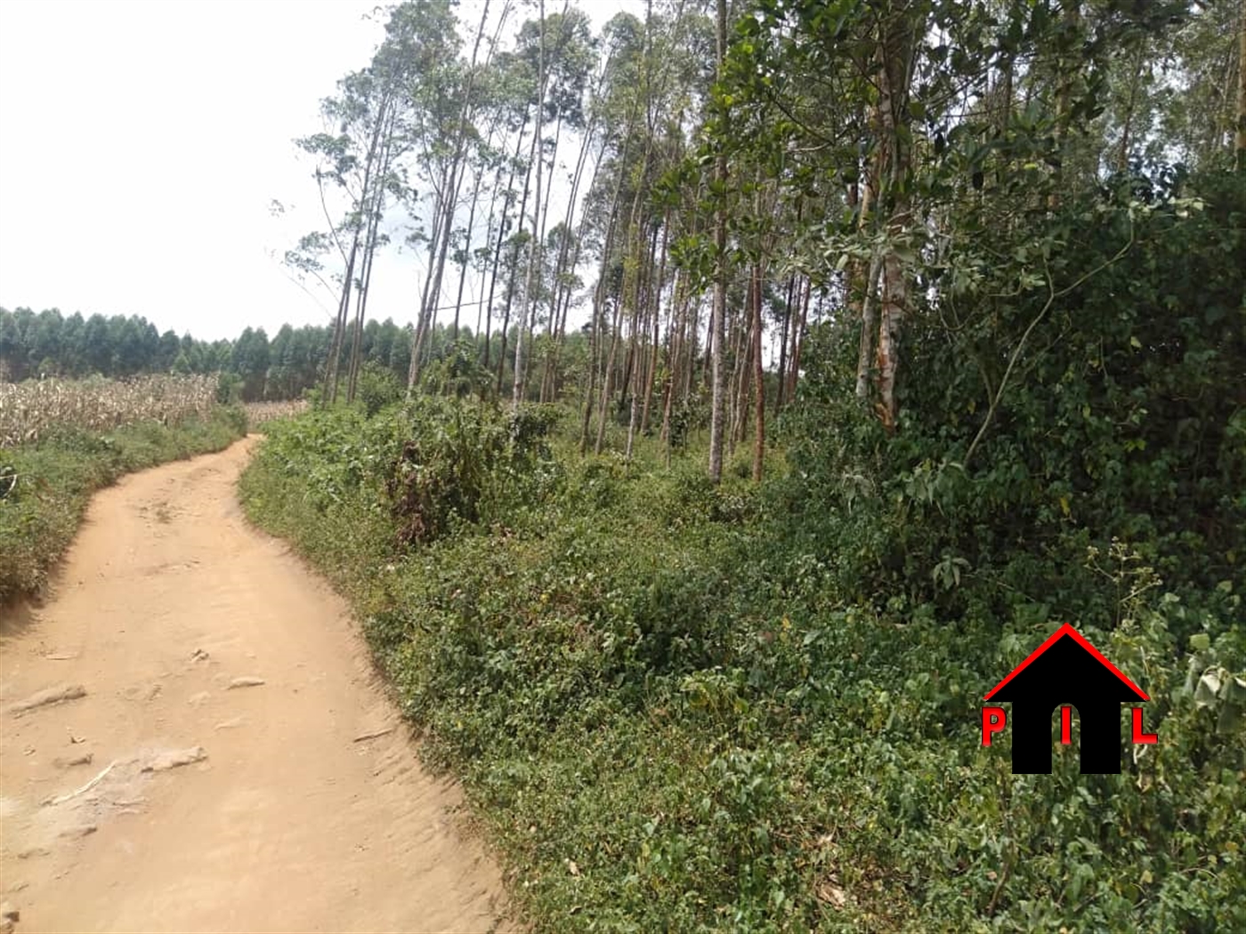 Residential Land for sale in Kyengela Kampala