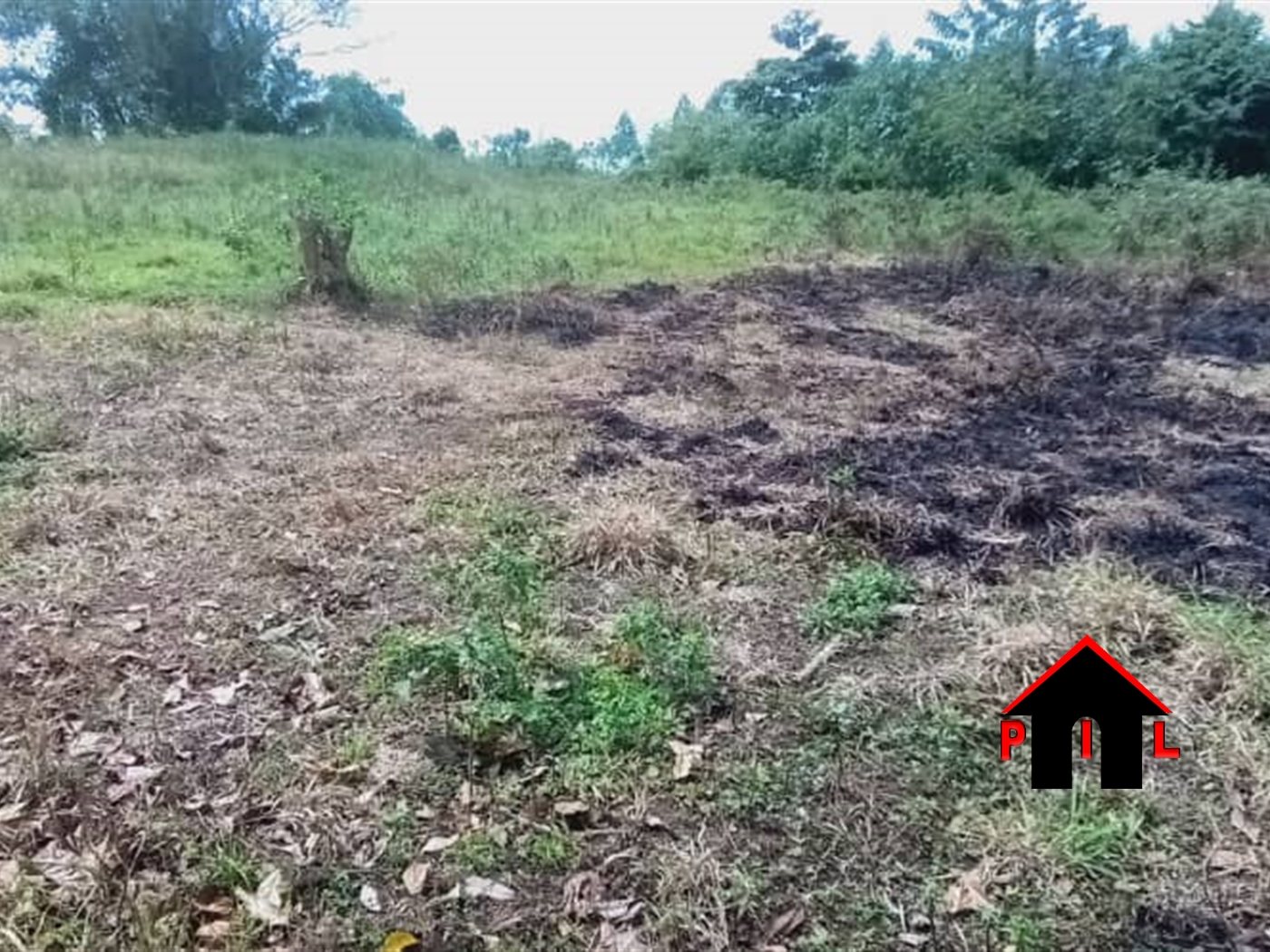 Agricultural Land for sale in Kikyuusa Luweero