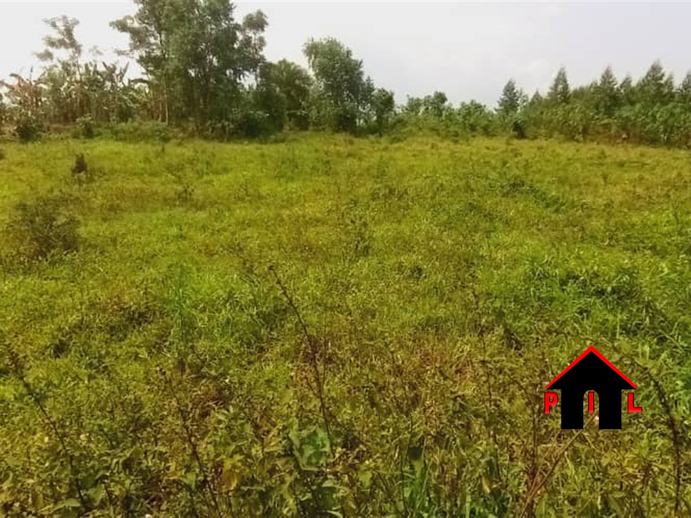 Agricultural Land for sale in Kikyuusa Luweero