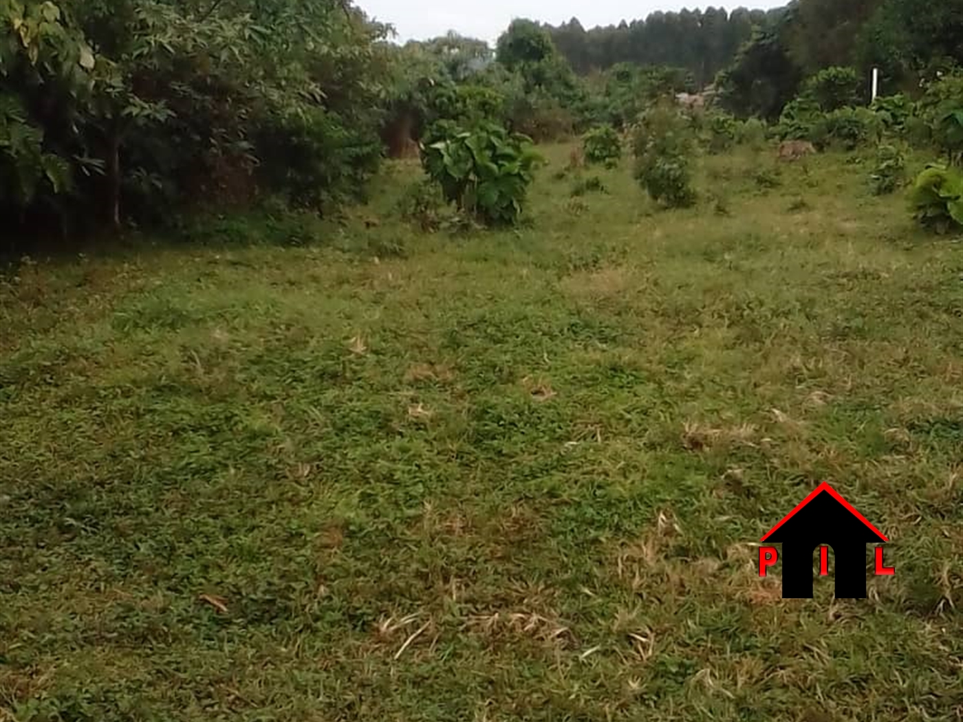 Agricultural Land for sale in Ziloobwe Luweero