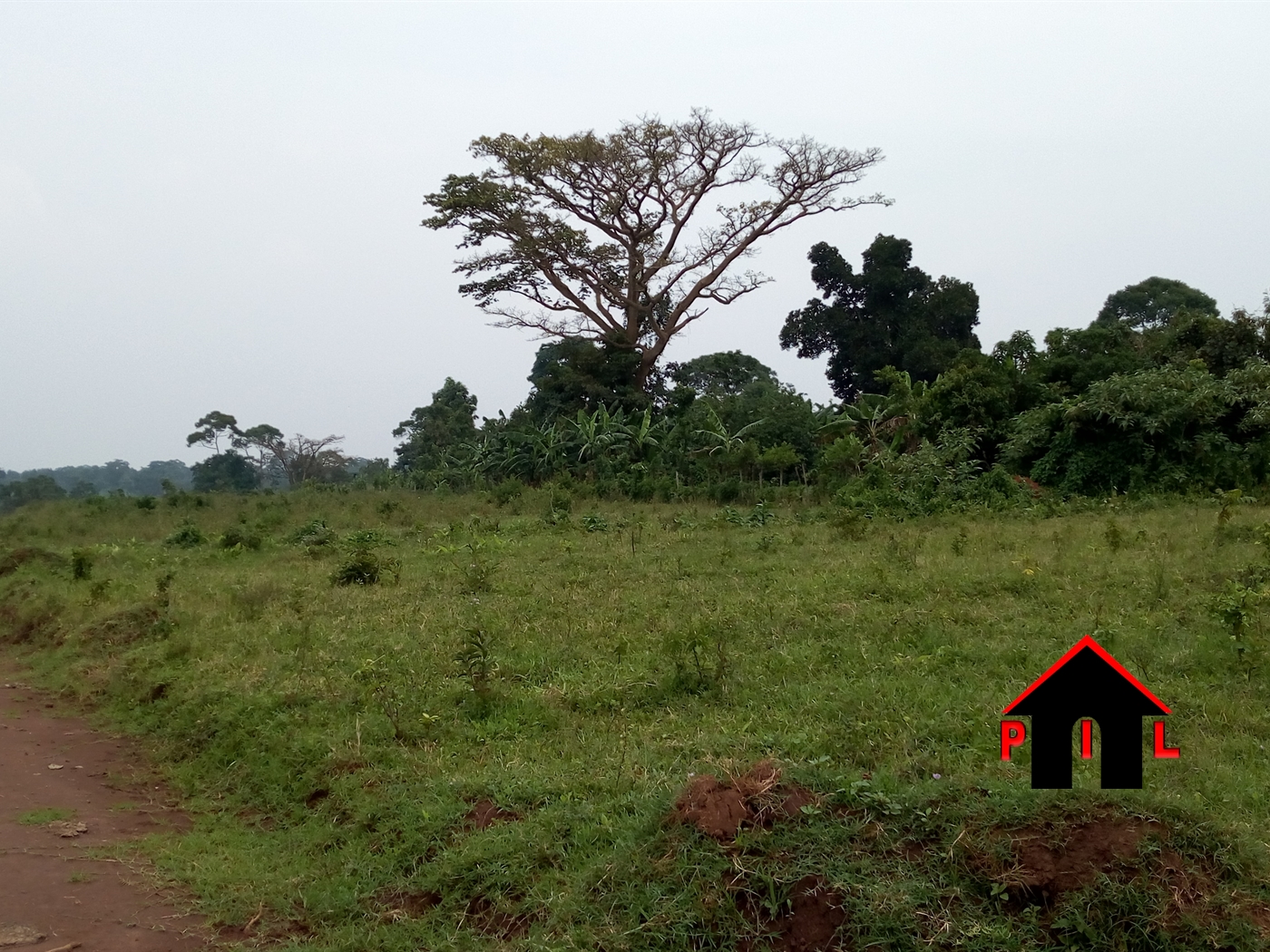 Agricultural Land for sale in Ziloobwe Luweero