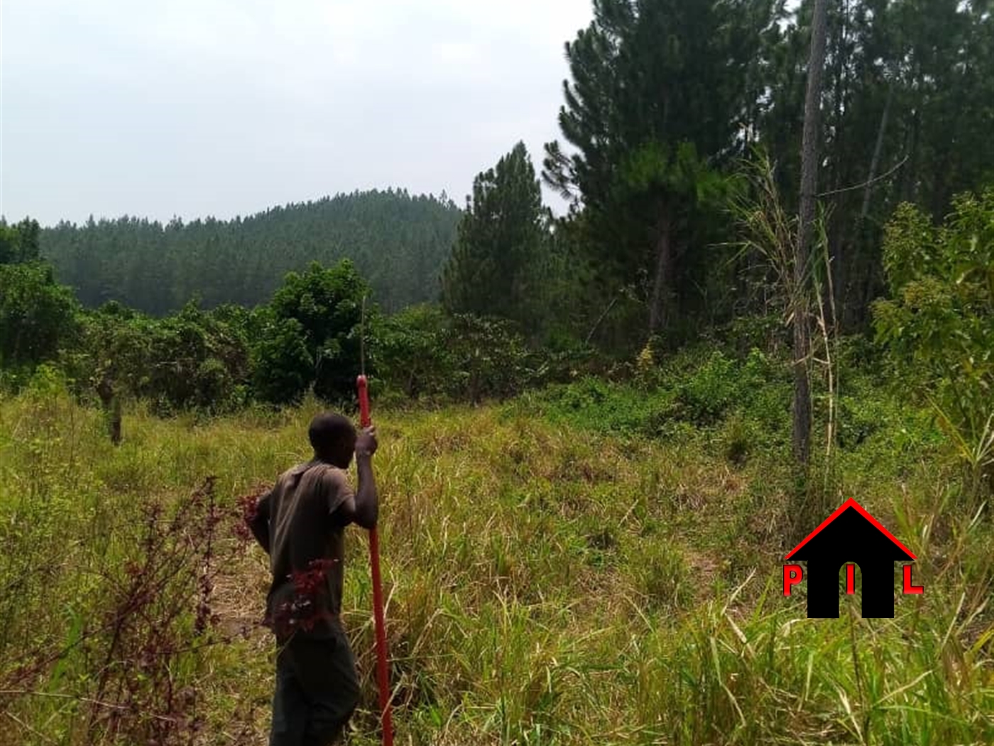 Agricultural Land for sale in Paloro Gulu