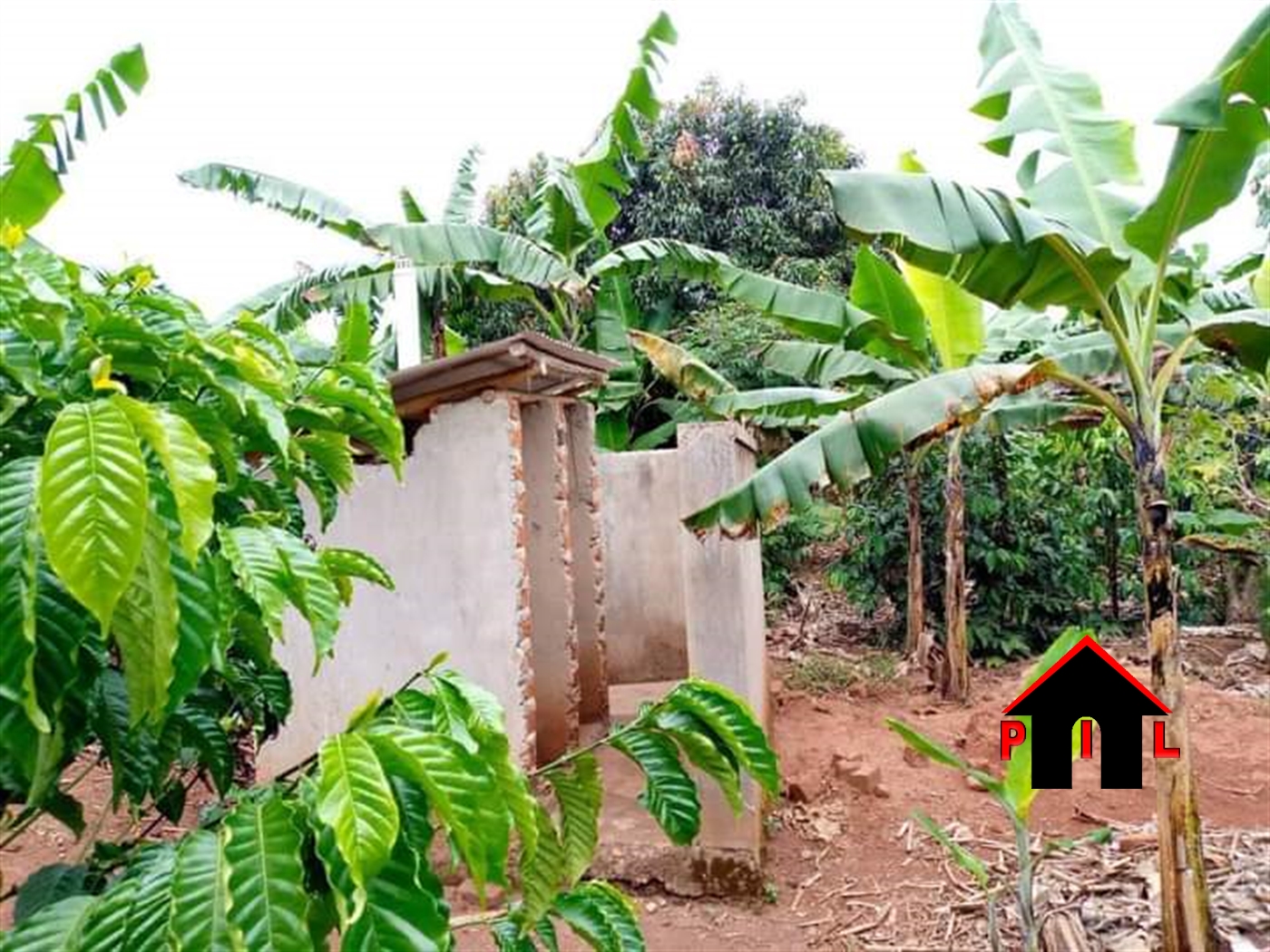 Agricultural Land for sale in Wobulenzi Luwero