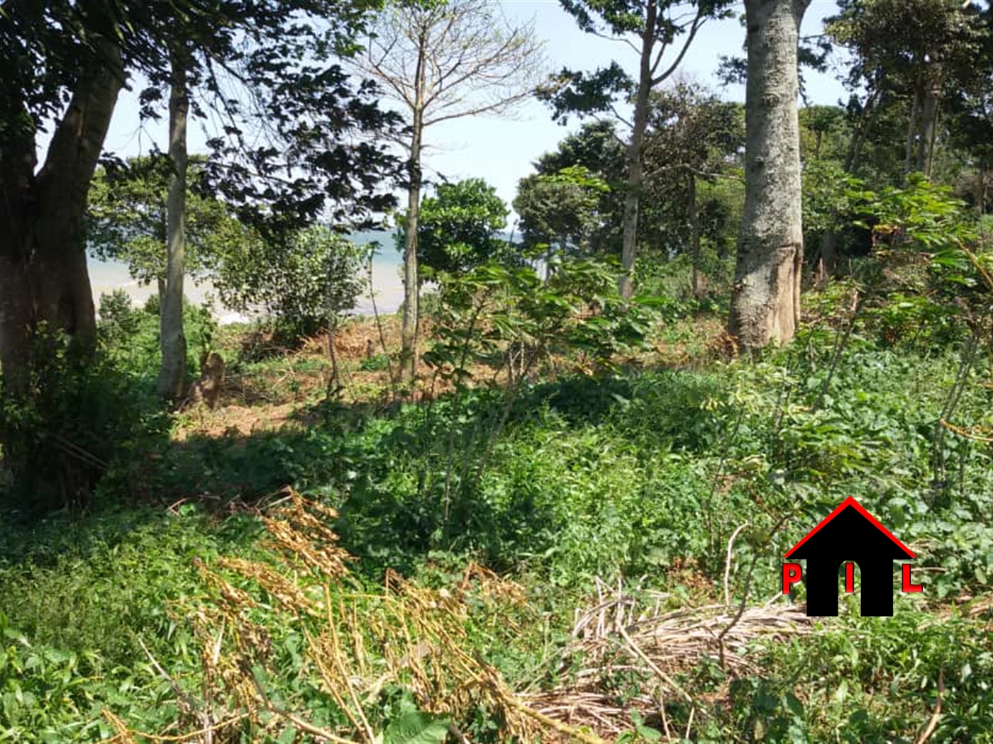 Agricultural Land for sale in Kikyuusa Luweero