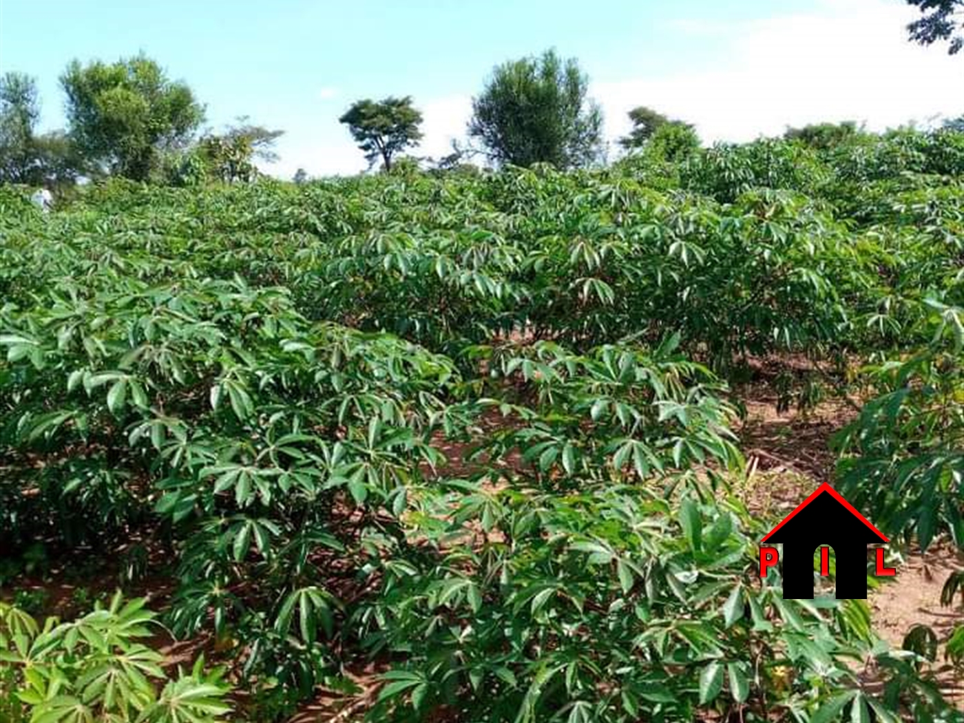 Agricultural Land for sale in Nkombe Buyikwe
