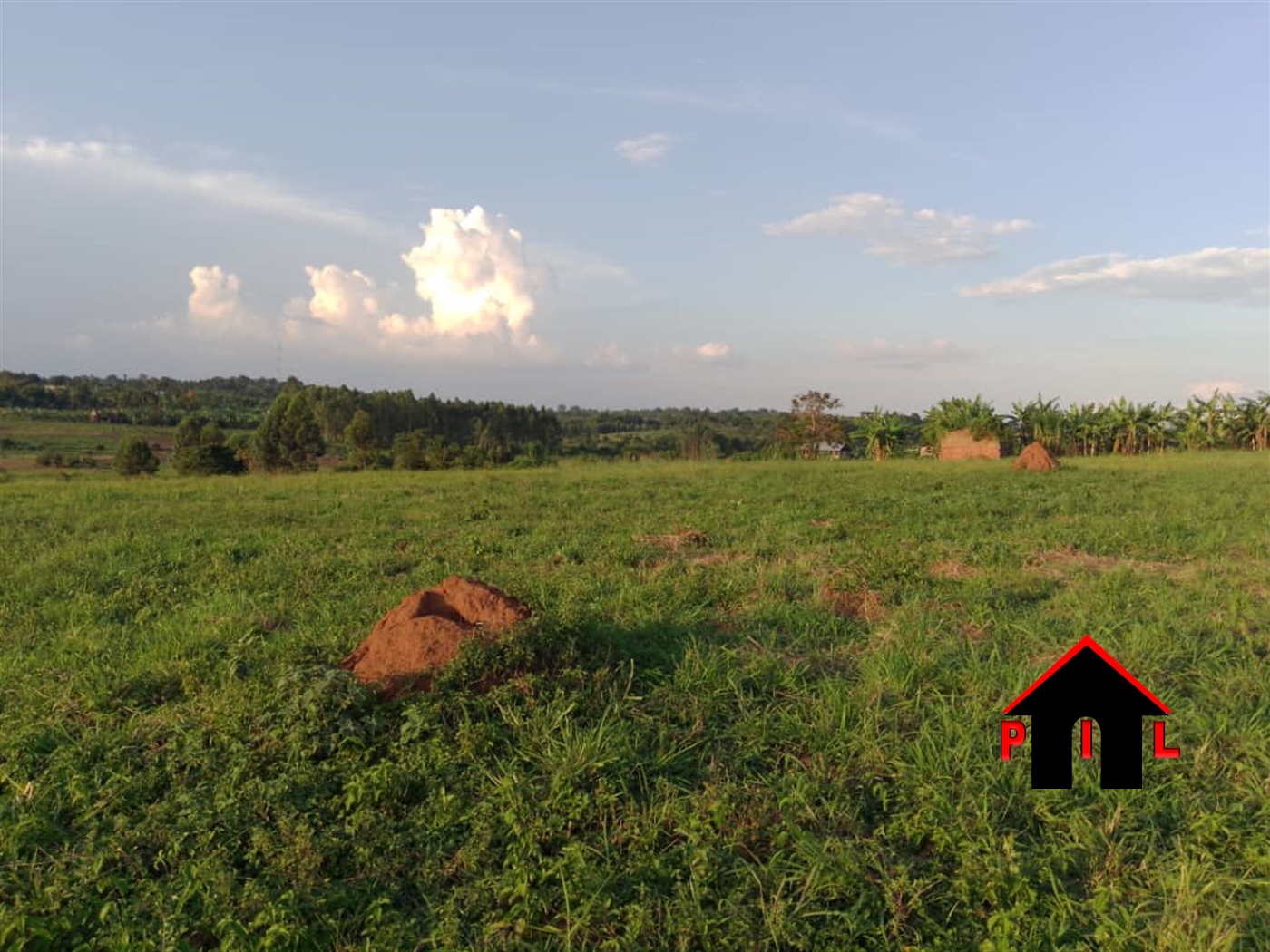 Agricultural Land for sale in Kalenge Wakiso