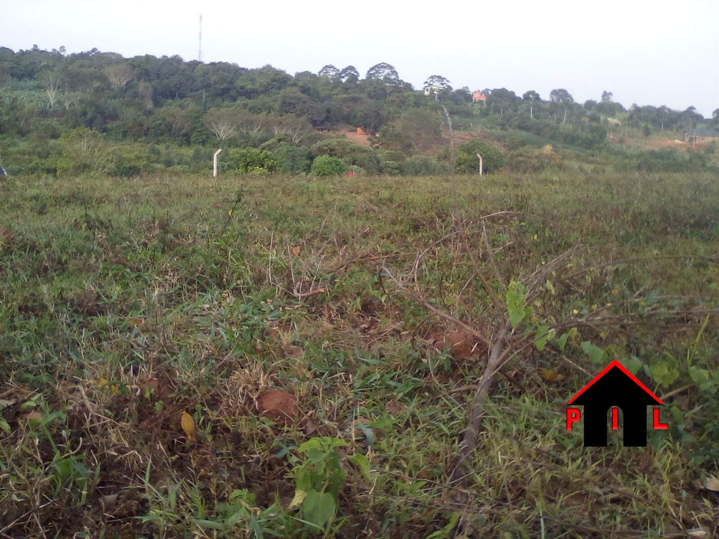 Agricultural Land for sale in Bugema Kalungu