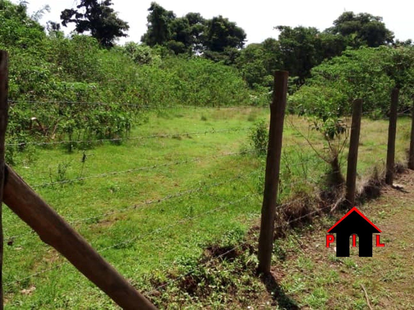 Residential Land for sale in Nkumba Wakiso