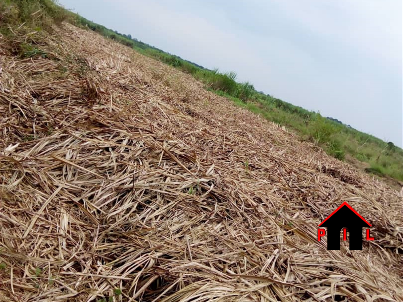 Agricultural Land for sale in Kyanamukaaka Masaka