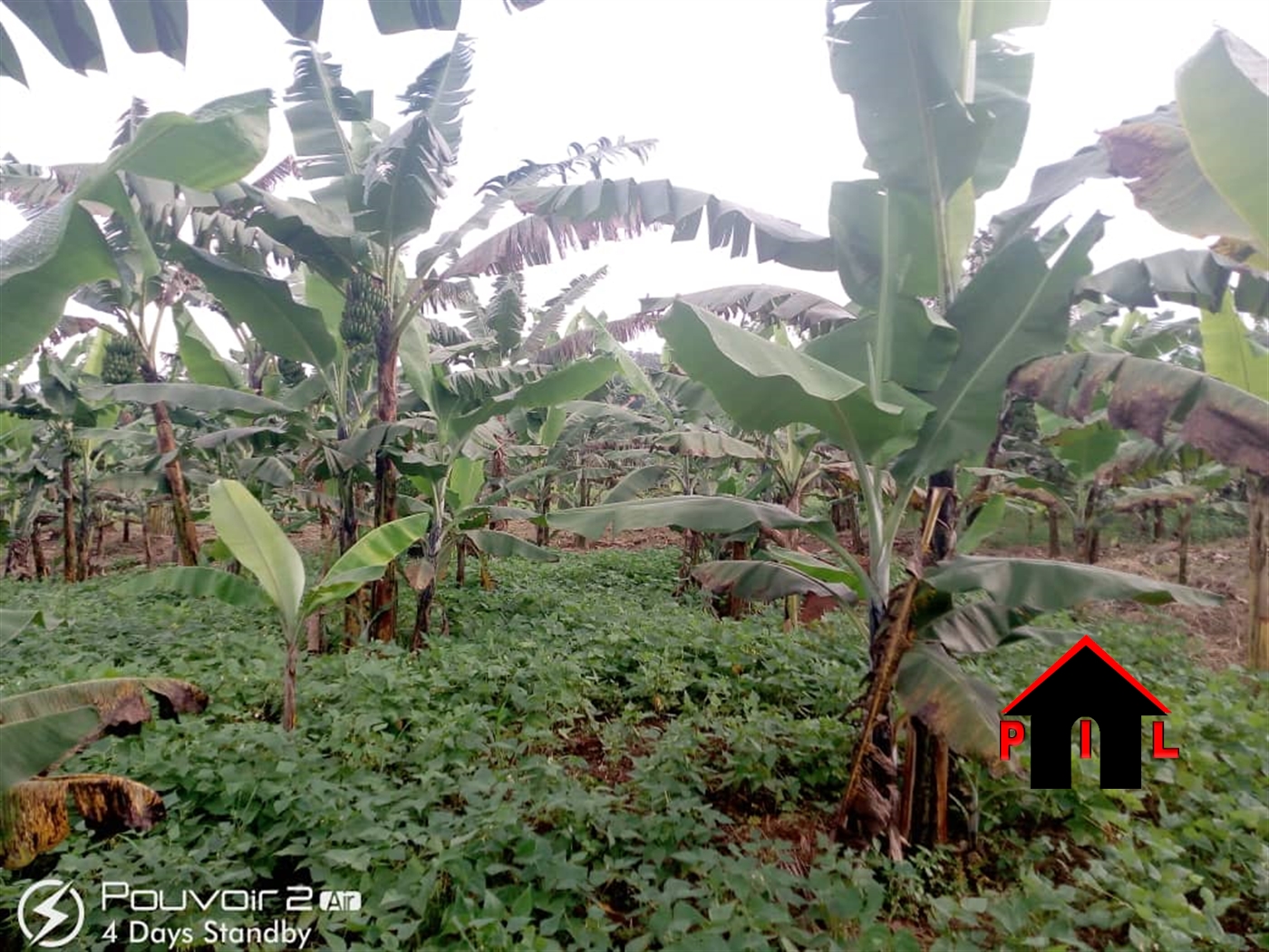 Agricultural Land for sale in Lwabenge Masaka