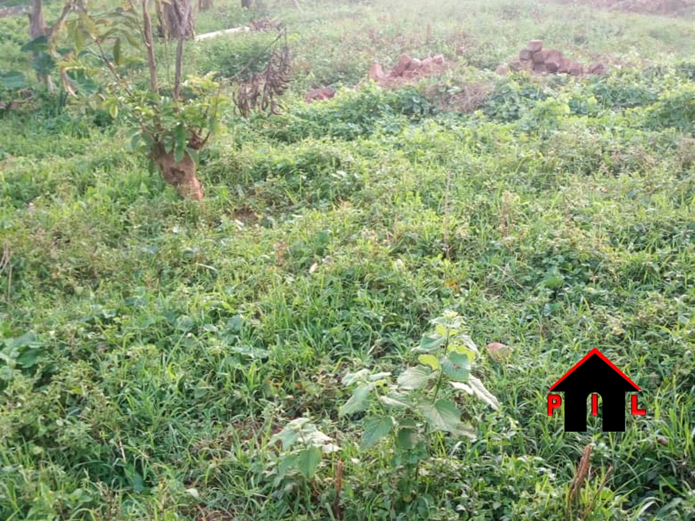 Agricultural Land for sale in Mpunge Mukono