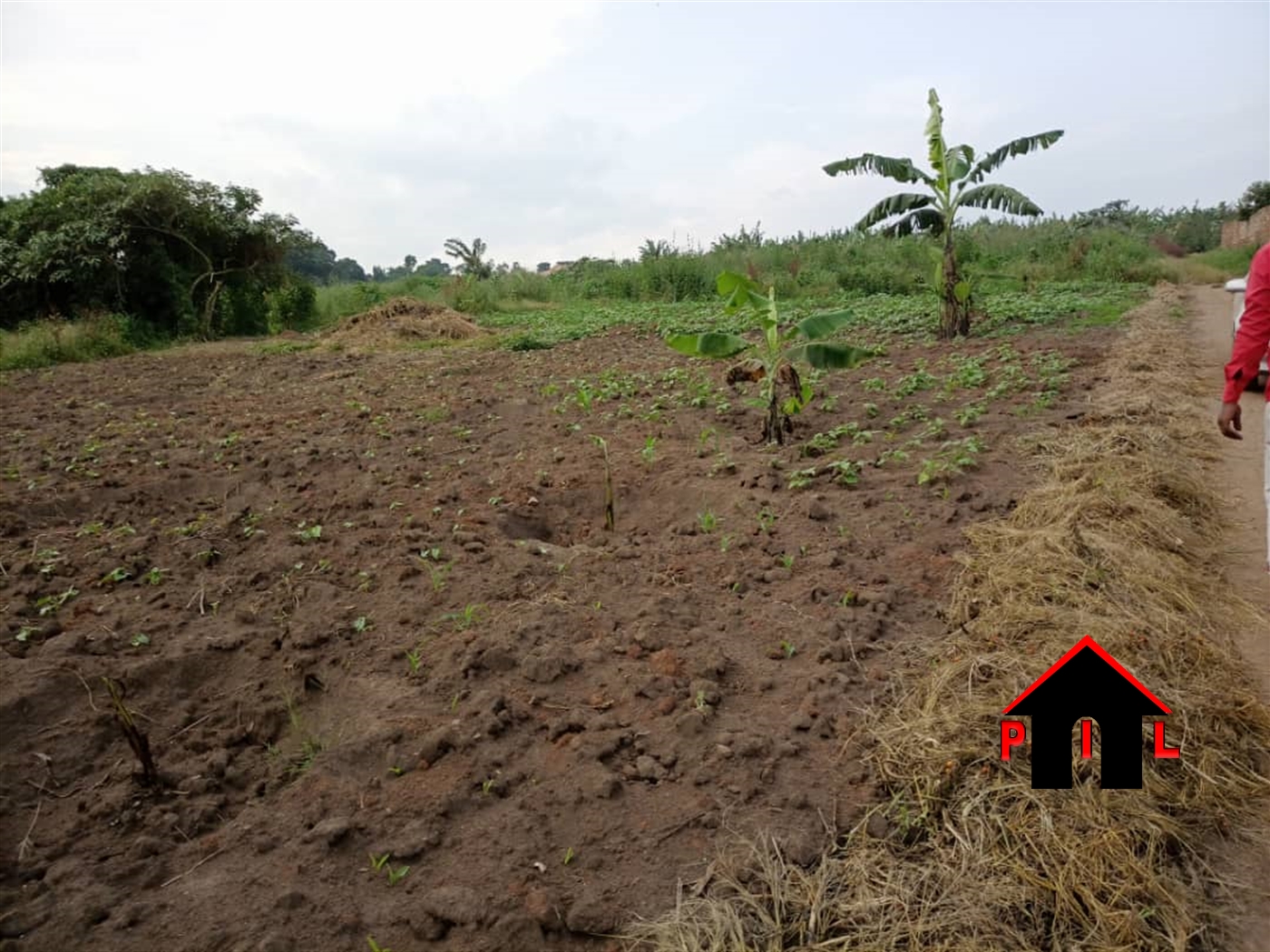 Agricultural Land for sale in Kigege Nakaseke