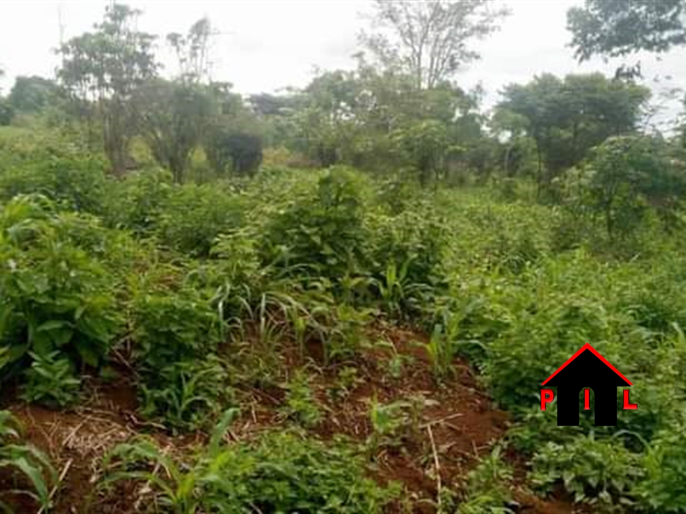 Residential Land for sale in Seeta Mukono