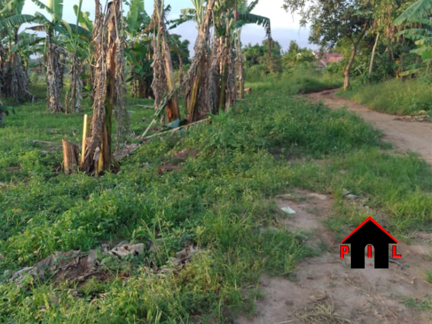 Agricultural Land for sale in Kapeeka Nakaseke