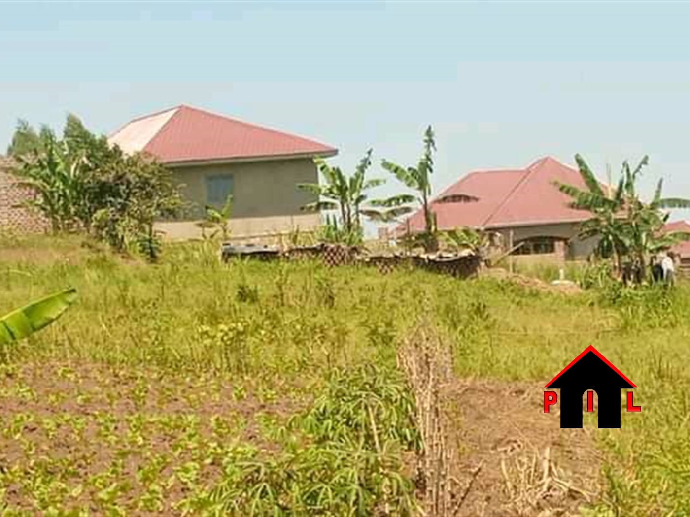 Residential Land for sale in Namulonge Wakiso