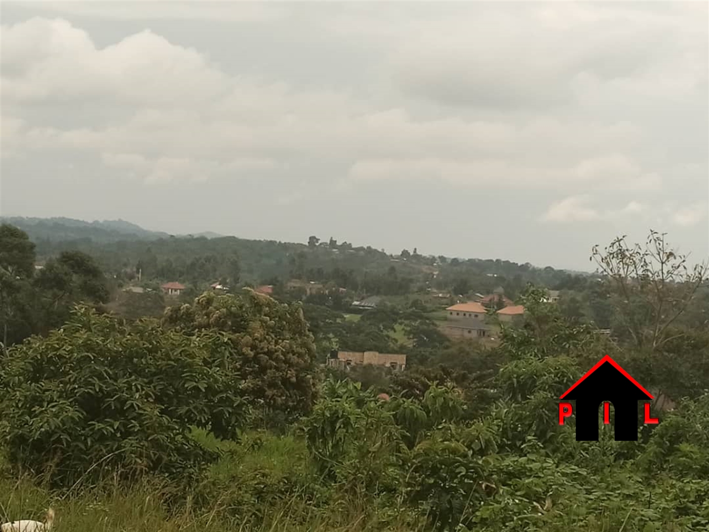 Agricultural Land for sale in Butalangu Nakaseke