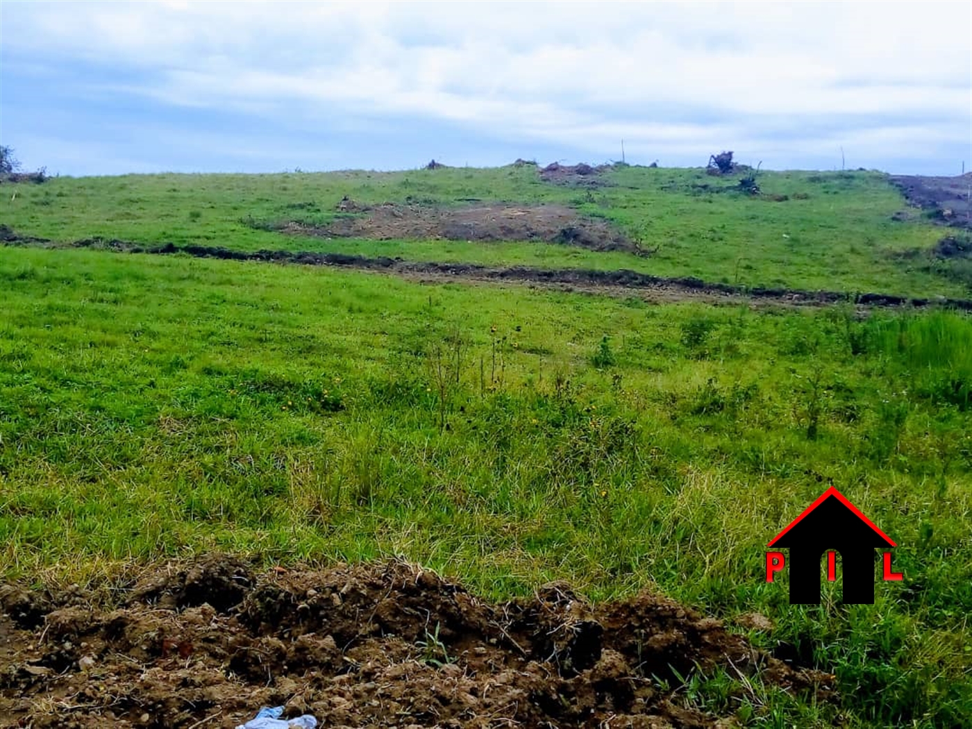 Agricultural Land for sale in Busowa Bugiri