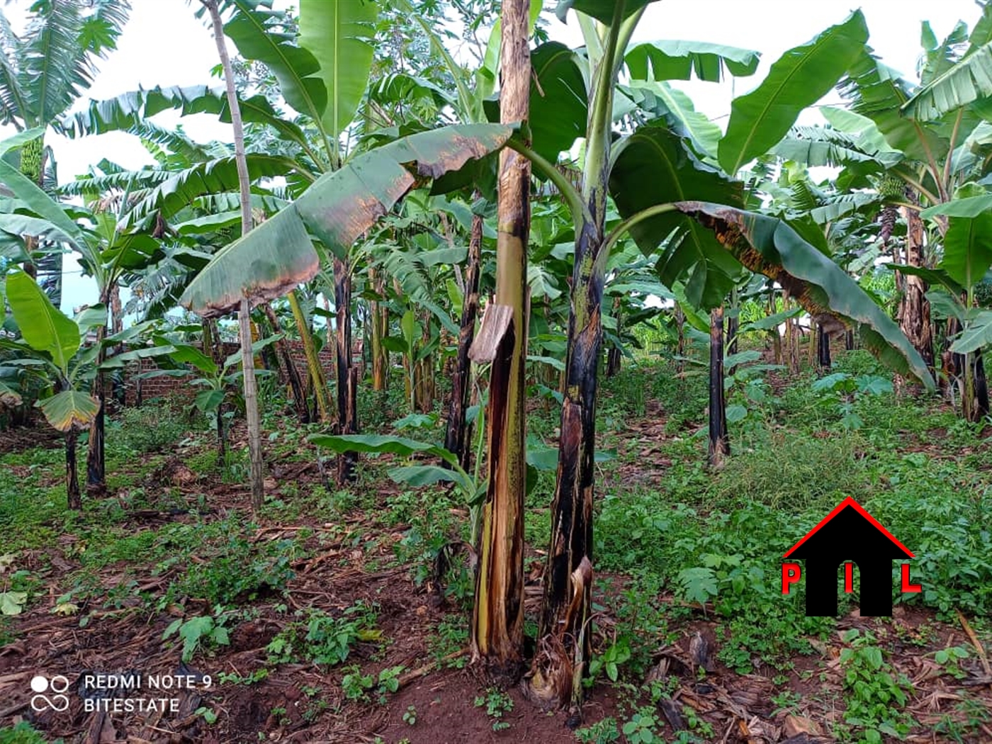 Residential Land for sale in Kira Wakiso